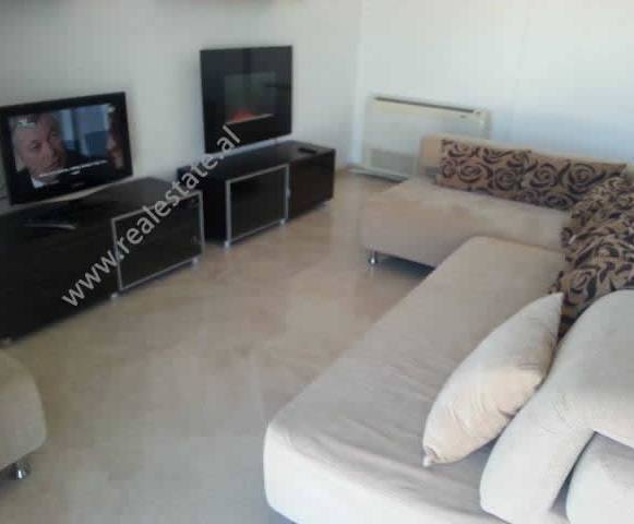 Two bedroom apartment for rent close to Artificial Lake in Tirana, Albania (TRR-214-16b)