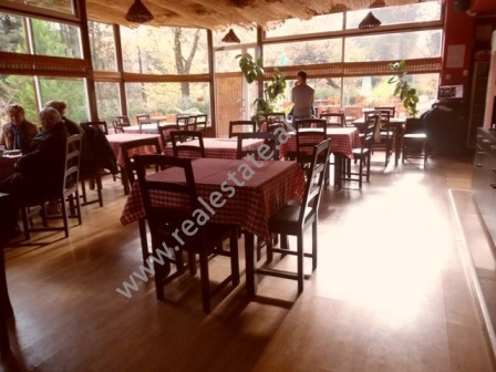 Bar-restaurant for rent in Gjeneral Nikols Street in Tirana, Albania (TRR-1215-50K)