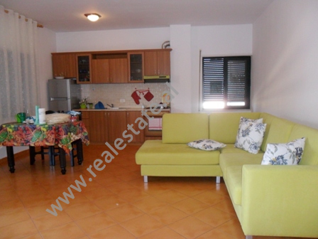 One bedroom apartment for rent in Tirana, near Skenderbeg Square, Albania (TRR-216-8b)