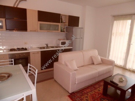 Apartament 1+1 me qera ne rrugen e Elbasanit ne Tirane (TRR-416-25K)