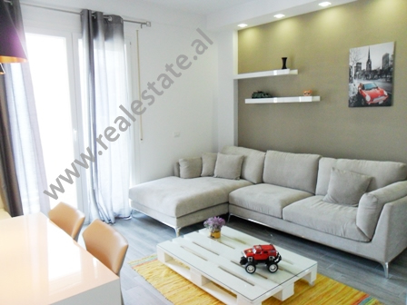 Apartament 1 + 1 modern me qera prane Kopshtit Botanik ne Tirane (TRR-916-4b)