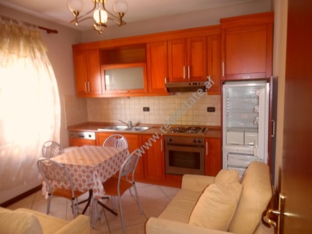 Apartament 1+1 me qera prane rruges Mine Peza ne Tirane (TRR-916-24K)