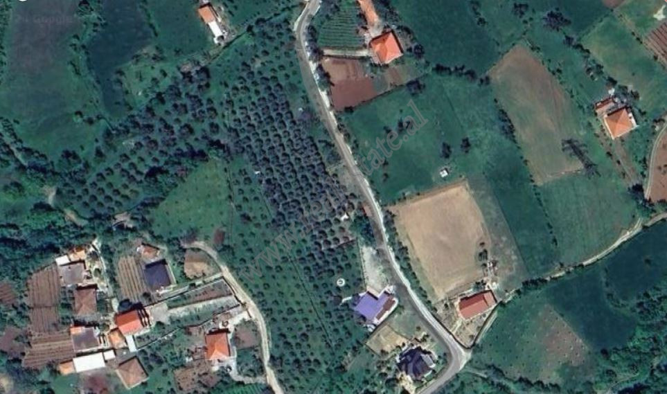 Toke per shitje ne fshatin Gurre e Madhe, prane zones se Mulletit ne Tirane