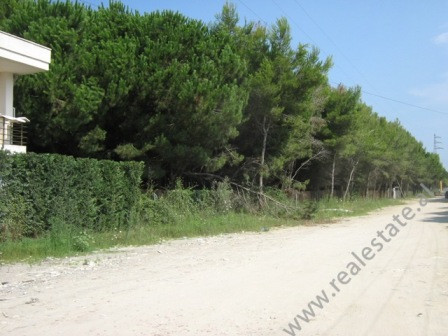 Land for sale near Mali i Robit, Kavaje, Albania.
The land is positioned about 300m away from the s