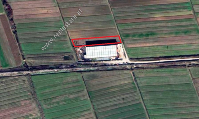 Toke per shitje ne zonen e Maminasit ne Durres.
Pozicionohet ne rrugen dytesore dhe me akses direkt