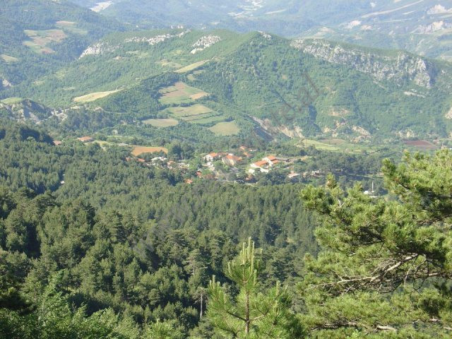 Toke per shitje ne fshatin turistik te Gjinarit, pjese e qytetit te Elbasanit.
Ofrohet nje siperfaq