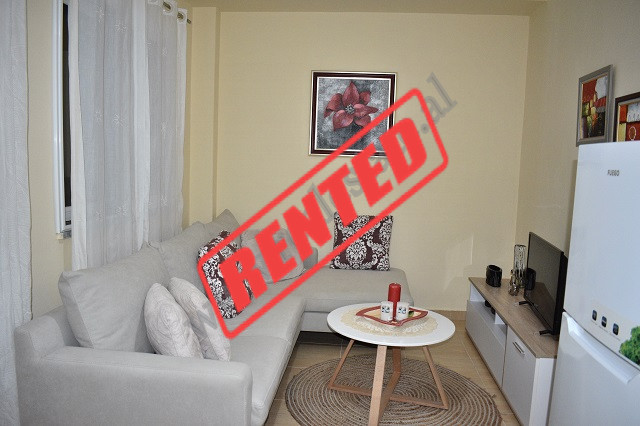 Apartment for rent in Hamdi Garunja Street, near the Radisson Hotel, in Tirana, Albania.
The apartm