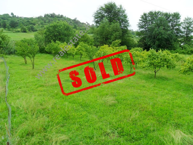 Land for sale in Prush area in Tirana.

It is located some meters away from the main street, recen